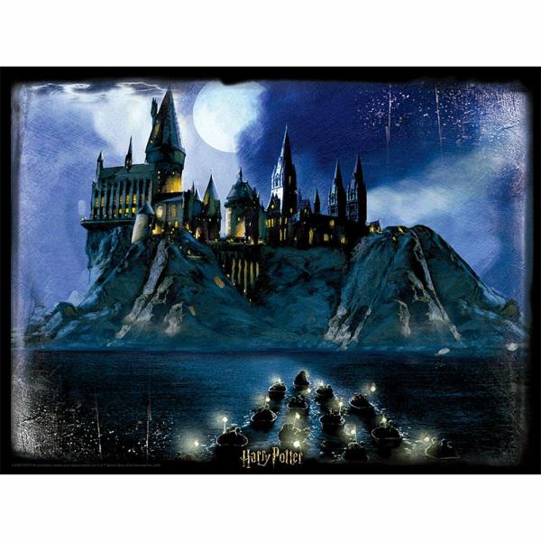 Toys & Games | Harry Potter 3D Image Puzzle 500pc Hogwarts Night Soccer Collection Toys & Games