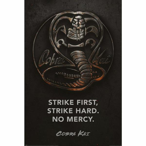 Wall Art | Cobra Kai Poster Metal 205 Soccer Collection Wall Art