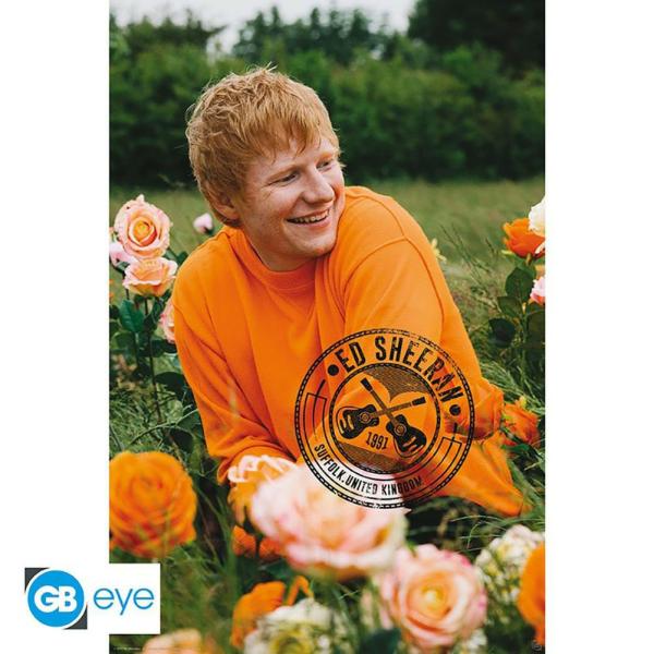 Wall Art | Ed Sheeran Poster Soccer Collection Wall Art