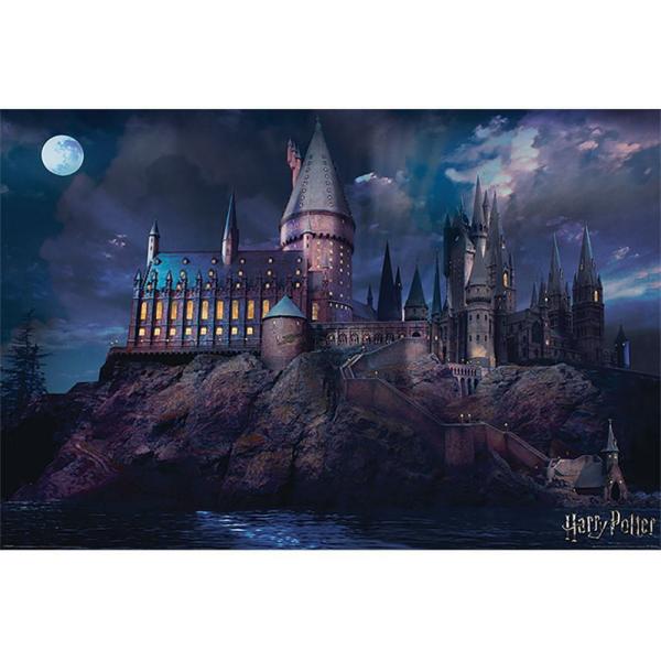 Wall Art | Harry Potter Poster Hogwarts Night 299 Soccer Collection Wall Art