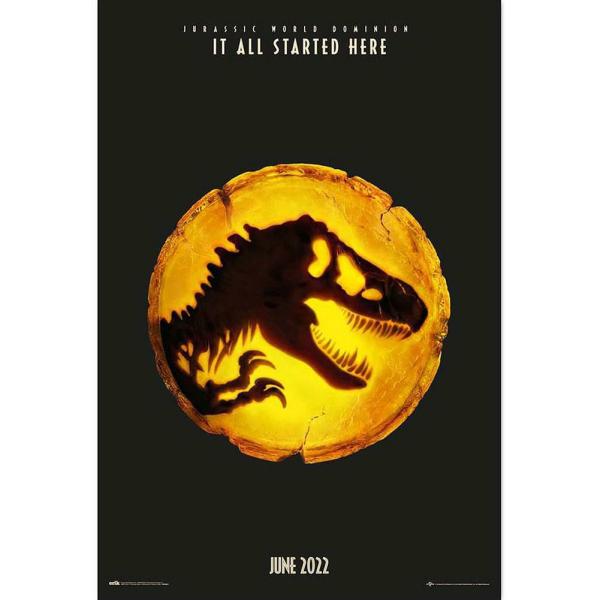 Wall Art | Jurassic World Dominion Poster 58 Soccer Collection Wall Art