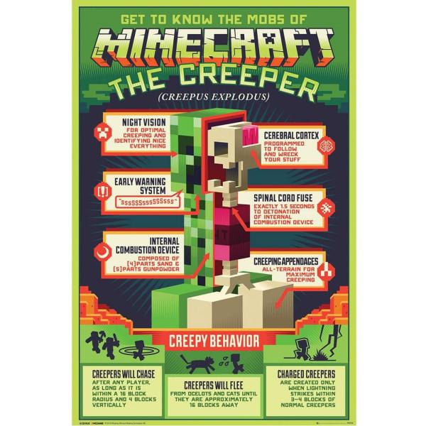 Wall Art | Minecraft Poster Creeper 131 Soccer Collection Wall Art