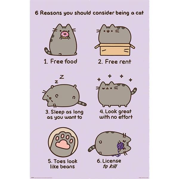 Wall Art | Pusheen Poster Reasons 157 Soccer Collection Wall Art