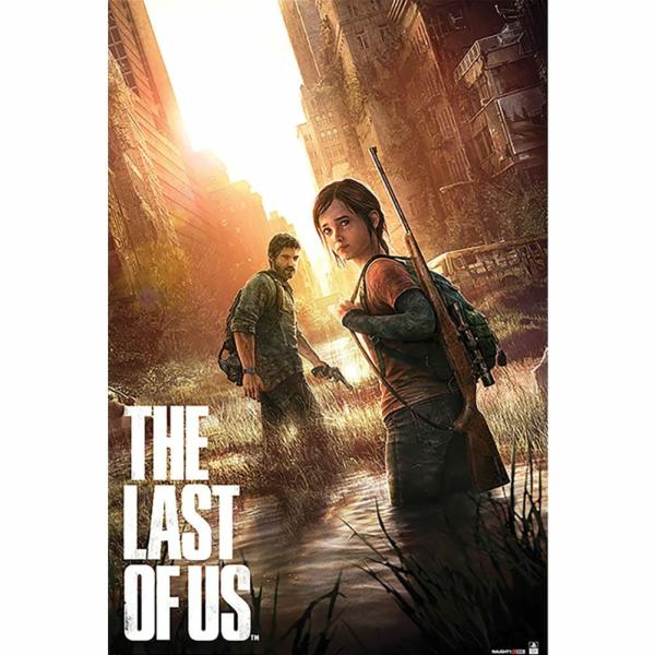 Wall Art | The Last Of Us Poster 142 Soccer Collection Wall Art